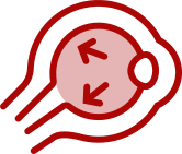 Icon Chirurgies - Maladies de la paupière - OPHTA CMC LEMAN